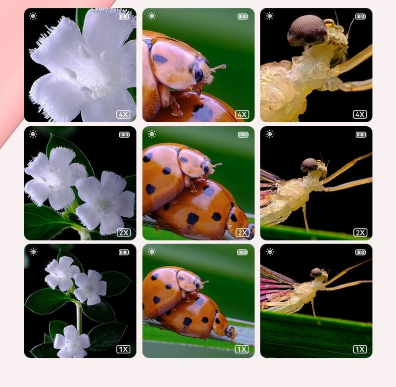 Microscope jouet