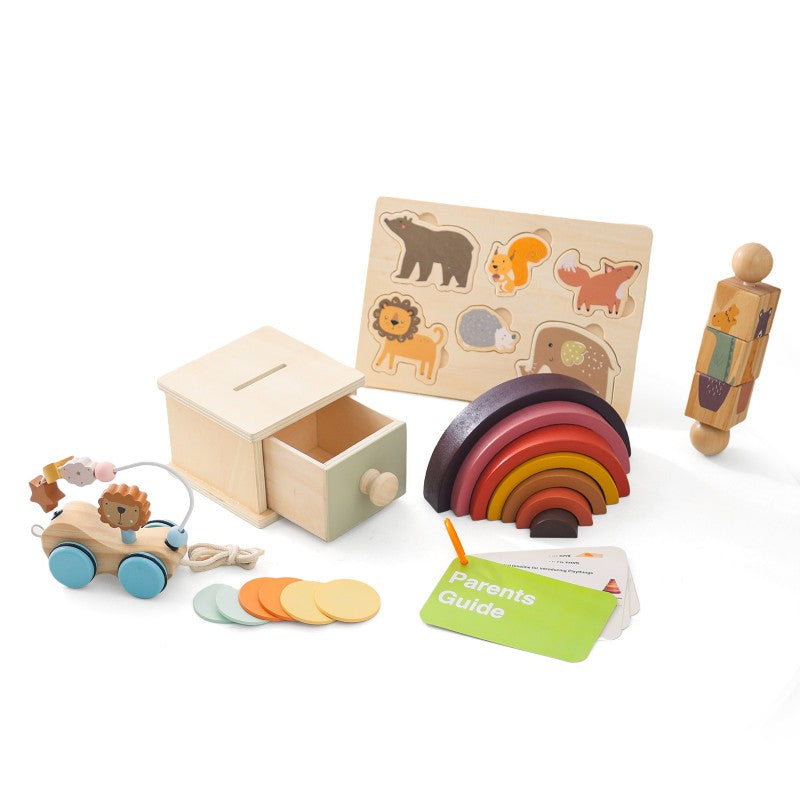 Wooden educational toys