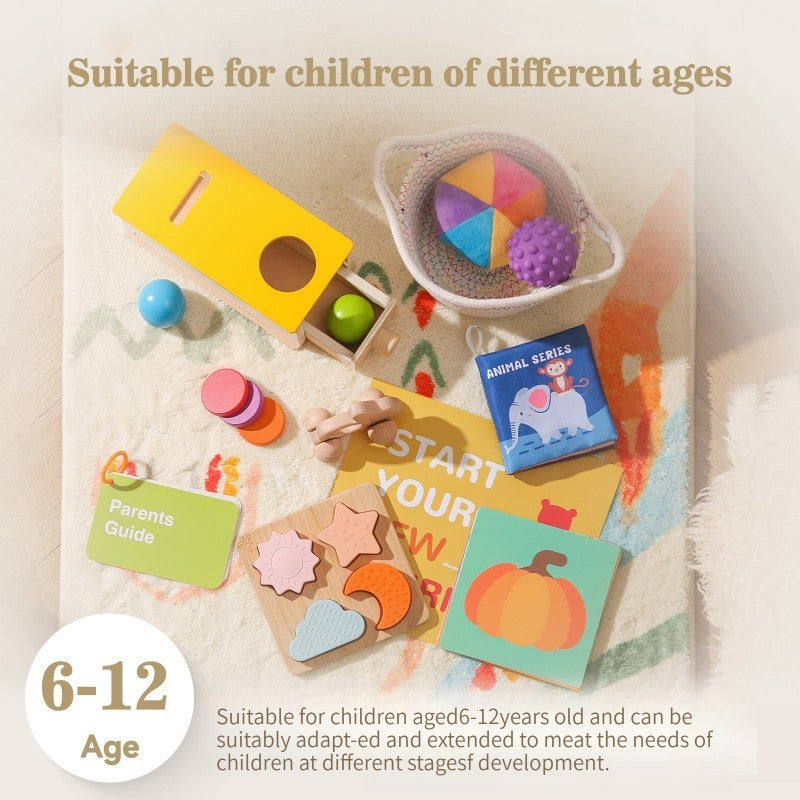 Wooden educational toys