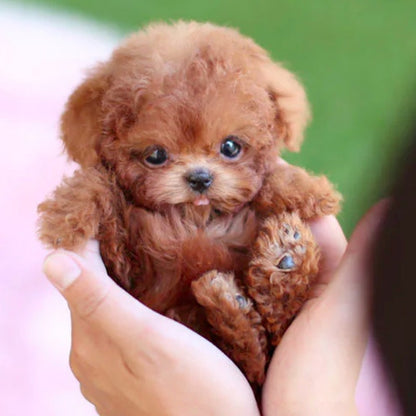 chien robot en peluche